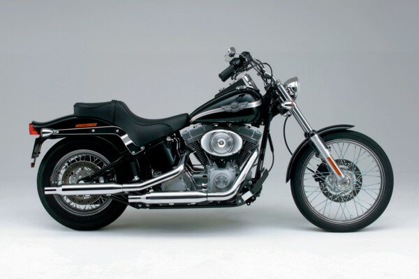20,000߰ʾ̵ۡDAYTONA(49069) ǥȥ åץޥե顼 SOFTAIL04ȥ졼