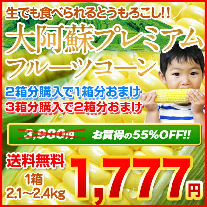 とうもろこしなのにフルーツ程甘い♪大阿蘇プレミアムフルーツコーン（恵味）1箱2,1kg〜2,4kg(6本入り)2箱買えば1箱おまけ！3箱買えば2箱おまけ！《7月10日頃より順次出荷開始》バーベキューにも最適！大阿蘇プレミアムフルーツコーン 朝採り 恵味 産地直送 熊本 送料無料 スイートコーン フルーツコーン トウモロコシ とうもろこし