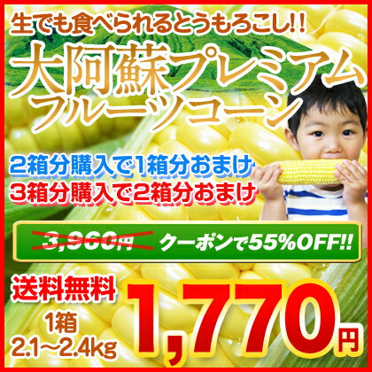 とうもろこしなのにフルーツ程甘い♪大阿蘇プレミアムフルーツコーン（恵味）1箱2,1kg〜2,4kg(6本入り)2箱買えば1箱分おまけ！3箱買えば2箱おまけ！《7月末頃より順次出荷開始》大阿蘇プレミアムフルーツコーン 朝採り 恵味 産地直送 熊本 送料無料 スイートコーン フルーツコーン トウモロコシ とうもろこし