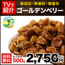 ゴールデンベリー(インカベリー)たっぷり500g入り送料無料...