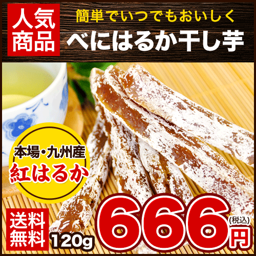 ׂɂ͂邩120g~1 y[ցzs3-7cƓȓɏoח\(yj)t