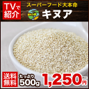 キヌア がテレビで紹介されました★話題のキヌア たっぷり500g入り送料無料!【在庫あり】NASAも認めたスーパーフード★本場ペルー・ボリビア産キヌア《3-7営業日以内に出荷予定(土日祝日除く)》