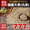 国産大麦 (丸麦)★大麦β-グルカンなど食物繊維が豊富★丸麦(国産)たっぷり1kg 送料無料★今話題の食物繊維ベータグルカンも含有《3-7営業日以内に出荷(土日祝日除く)》