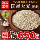 国産大麦（押麦）たっぷり1kg 送料無料★大麦β-グルカンなど食物繊維が豊富★押麦(国産)★今話題の食物繊維ベータグルカンも含有《3-7営業日以内に出荷予定(土日祝日除く)》