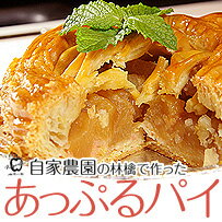 あっぷるパイ（直径約16cm）【熊本県産】【RCPmara1207】【マラソン201207_食品】自家農園の林檎をふんだんに使った甘さを押さえたアップルパイです。「林檎の樹」オリジナルの味を是非ご賞味ください。