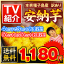 ＼テレビで紹介！／本場鹿児島・種子島産安納いも★激得！送料無...