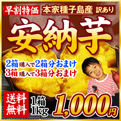 種子島産訳あり安納芋1箱1kg★2箱購入で2箱分おまけ！3箱購入で3箱分おまけ！本場種子島産！サイズ不選別《11月中旬〜下旬頃より順次出荷予定》本家種子島産の訳あり安納芋！