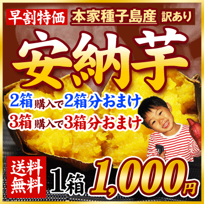 送料無料【早割限定特価】本場種子島産訳あり安納芋【さらになんと！2箱購入で2箱分おまけ！3箱購入で3箱分の倍増おまけ！！】1箱1kg入り《11月中旬〜下旬頃より順次出荷予定》【RCP】【