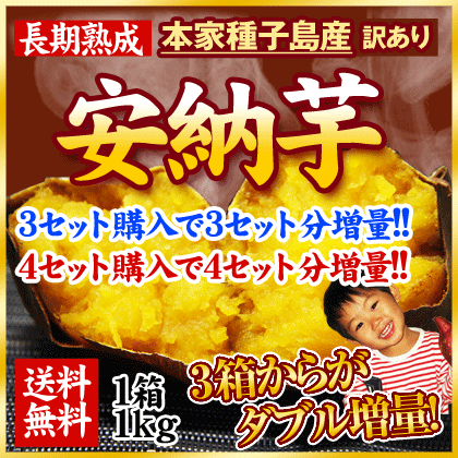 安納芋の本場種子島産・長期熟成訳あり安納芋1セット1kg入り※大中小サイズ混合(無選別)※複数箱の場合1箱におまとめ配送家庭用 安納 熊本 種子島産 九州 野菜 さつまいも サツマイモ 送料無料 訳あり 芋 安納芋