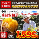 \2年連続SOYジャンル大賞受賞/中園ファームの安納芋(秀品)!TVで紹介★品評会で最高金賞受賞♪送料無料!2セットで1セットおまけ!★種子島の秀品安納芋(A品)1.5kg入り(S〜2Lサイズ混合品)★《12月中旬-12月末頃より順次出荷》