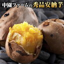 \2セット購入で1セットおまけ/ 中園フ...