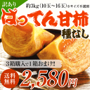 【送料無料】3箱購入で1箱おまけ!熊本県産ばってん甘柿（種な...