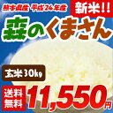 森のくまさん★24年産お米食味ランキング全国トップを獲得♪「コシヒカリ」と「ヒノヒカリ」から生まれた平成24年収穫米!!森のくまさん（玄米）30kg粘りが強くモチモチとした食感が人気のお米です。冷めても美味しいと評判の熊本が誇るブランド米です。