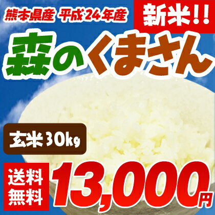 森のくまさん★24年産お米食味ランキング全国トップを獲得♪「コシヒカリ」と「ヒノヒカリ」から生まれた平成24年収穫米!!森のくまさん（玄米）30kg粘りが強くモチモチとした食感が人気のお米です。冷めても美味しいと評判の熊本が誇るブランド米です。