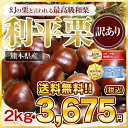 栗の季節到来!!熊本県産 訳あり利平栗(幻のくりと言われる最高級和栗)2kg(大玉)九州 秋の味覚 熊本県産 くり 訳あり 送料無料 生栗 栗 利平栗