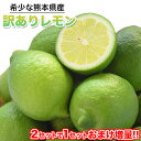 訳あり レモン 1.5kg 送料無料 熊本県産 (約5玉-1...