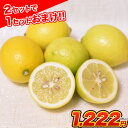 訳あり レモン 1.5kg 送料無料 熊本県産 (約5玉-1...