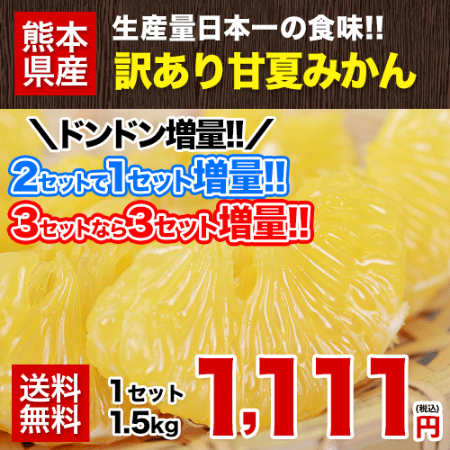 【送料無料】甘夏みかん1.5kg★甘夏の名産地熊本県産★【自家用訳あり】甘夏!(みかん・ミ…...:kumamoto-food:10001675