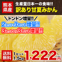 【送料無料】甘夏みかん1.5kg★甘夏の名産地熊本県産★【自家用訳あり】甘夏!(みかん・ミカン・蜜柑) ★3セット購入で3セット増量!!複数セットの場合1箱にまとめて配送《7月末-8月中旬頃より順次出荷》