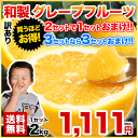 【訳あり】和製グレープフルーツ2kg(河内晩柑)熊本県産★送料無料★3セットなら3セットおまけ増量★※大中小サイズ混合※複数セット購入の場合1箱におまとめ配送《7月末-8月中旬頃より順次出荷》