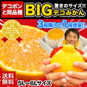 デコポンと同品種【送料無料】本場・熊本県産BIGデコみかん秀...