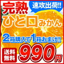 すぐ食べられる熊本産完熟ひと口みかん2箱分買えば1箱分おまけ!3箱分買えば2箱分おまけ!!熊本県産みかん2kg《少し訳ありの家庭用》 %off 訳ありみかん名産地熊本だからなせるこの味!この価格!!低酸・高糖度!コクのある味わい！