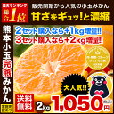 【送料無料】「熊本小玉完熟みかん」家庭用訳あり2kg★【2セット購入で+1kg増量】3S〜Sサイズ混合※複数セット購入の際1箱おまとめ《11月中旬-11月末頃より順次出荷》