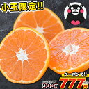 【今期最終!クーポン利用で99...