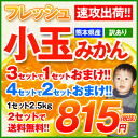 ★速攻出荷★日本最速級★数量限定!完売間近★熊本産訳ありフレッシュ小玉みかん1箱2.5kg!【数量限定】★【2セット購入で送料無料】3セット購入で1セットおまけ!※複数箱の場合1?2箱におまとめして配送