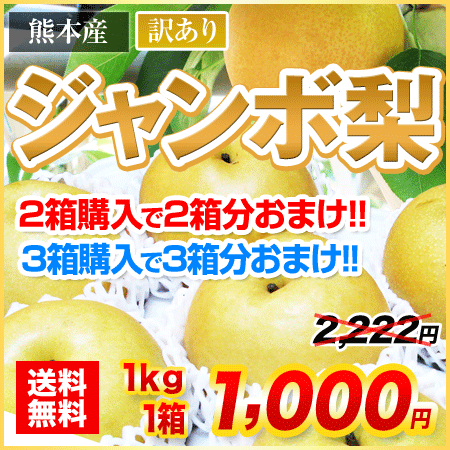 名産地熊本県からジャンボ梨を産地直送!!2箱買えば2箱分おまけ!!3箱買えば3箱分おまけ!!秋の味覚「熊本県産訳ありジャンボ梨」1箱1kg（1玉〜3玉）※サイズ不選別《10月上旬〜10月中旬頃より順次出荷開始》名産地 熊本 フルーツ 果物 訳あり 2箱以上購入で送料無料 ナシ なし 梨