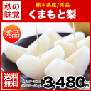 【送料無料】【秀品】3箱購入で1箱おまけ!秋の味覚くまもと梨4,5kg〜5kg(約10〜15玉)《8月下旬-9月中旬頃より順次出荷》【楽ギフ_】 【送料無料】【秀品】3箱購入で1箱おまけ!秋の味覚くまもと梨4,5kg〜5kg(約10〜15玉)《8月下旬-9月中旬頃より順次出荷》【楽ギフ_】