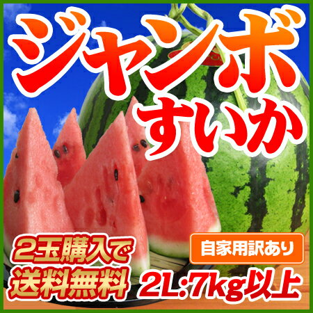 日本一の産地・熊本から直送！【2玉購入で送料無料】熊本県産ハウス栽培・超ジャンボすいか1玉2L（7kg以上）デカイ！甘い！みずみずしい！日本でも随一の産地・熊本の最高に美味しいスイカをお届けします！