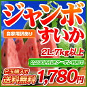 日本一の産地・熊本から直送！熊本県産ハウス栽培・超ジャンボすいか1玉2L（7kg以上）《6月下旬頃より順次出荷開始》デカイ！甘い！みずみずしい！日本でも随一の産地・熊本の最高に美味しいスイカをお届けします！