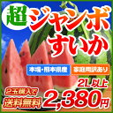 楽天ランキング1位獲得★数量限定ゲリラセール★日本一の産地・熊本から最速級直送！熊本県産ハウス栽培・超ジャンボすいか1玉2L以上（6.7〜8kg）デカイ！甘い！みずみずしい！日本でも随一の産地・熊本の最高に美味しいスイカをお届けします！