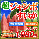 スイカ日本一の産地・熊本産超ジャンボすいか1玉2L以上(6.7?8kg)!甘くてみずみずしい♪【2玉購入で送料無料】【訳あり品】