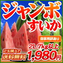 日本一の産地・熊本から直送！熊本県産ハウス栽培・超ジャンボすいか1玉2L（7kg以上）《5月末〜6月中旬頃より順次出荷開始》デカイ！甘い！みずみずしい！日本でも随一の産地・熊本の最高に美味しいスイカをお届けします！