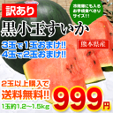 ★ランキング1位獲得★スイカの本場★熊本県産訳あり