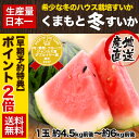 \早期予約特典ポイント2倍/【送料無料】【希少な冬のハウス栽培すいか】スイカの本