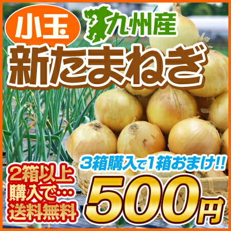 【2箱以上購入で送料無料】九州産 小玉新玉ねぎ2kg！3箱分買えば1箱分おまけ♪4箱買えば2箱おまけ!