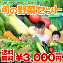 九州（熊本）の安心・安全な自家用野菜セット たっぷり12品目日本全国でも指折りの「野菜の名産地」熊本県の安心・安全な新鮮お野菜を中心に12種類、あなたのお手元まで直送します！