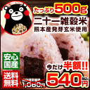 ＼新生活応援★半額540円★／くまモン袋の国産二十一雑穀米たっぷり500g！【総合ランキング1位獲得】熊本県産発芽玄米・TVで話題のもち麦・アマランサスも配合♪《4月4日-4月11日頃より順次出荷(土日祝日除く)》