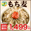 もち麦 国産【送料無料】TVで話題の大麦(もち麦)1kg入り...