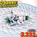 【24時間限定10,000円⇒...