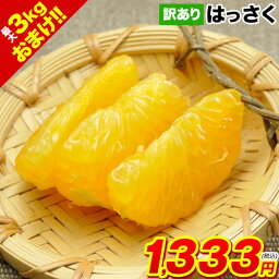 はっさく柑 (八朔・紅八朔) 1.5kg 送料無料 訳あり 熊本県産 みかん ミカン <strong>mikann</strong> ★3セット購入なら2セット分増量!! 複数セットの場合1箱にまとめて配送 《1-5営業日以内に発送予定(土日祝日除く)》