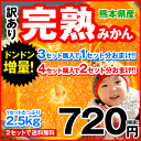 旬の味わい最高潮♪完熟みかん1セット2.5kg★買うほどお得っ⇒【3セットで1セット分増量★4セットで2セット分増量】2セット以上で送料無料【熊本県産】【訳あり】※複数購入の場合1箱にお