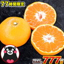【77時間限定888円⇒777円】熊本 ...