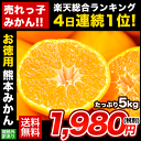 《年内出荷受付終了間近!!》【送料無料】規格外訳あり熊本みかん5kg♪サイズいろいろ混合♪たっぷりサイズで自宅でいっぱい食べたい方必見!!《12月24日-12月31日頃より順次出荷開始予定》