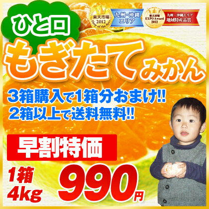 みかんをこの時期に食べられる!!3箱購入で1箱おまけ！《9月下旬頃より順次出荷予定》みかん ミカン 小粒 楽天最安値に挑戦 名産地 熊本 国産 果物 2箱以上購入で送料無料 蜜柑 極早生みかん