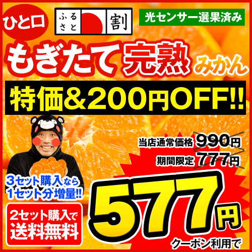 ＼本日（10/31）23：59まで⇒990円が今だけ777円！／さらにふるさと割200円OFF！熊本産ひと口(小玉)もぎたて完熟みかん1.5kg【2セット以上送料無料】3セット購入で1セット分増量【11月中旬〜11月