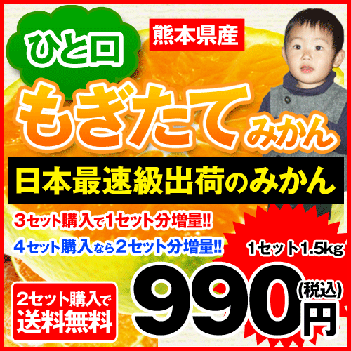 【日本最速級出荷！】小玉限定★熊本産ひと口もぎたてみかん1....